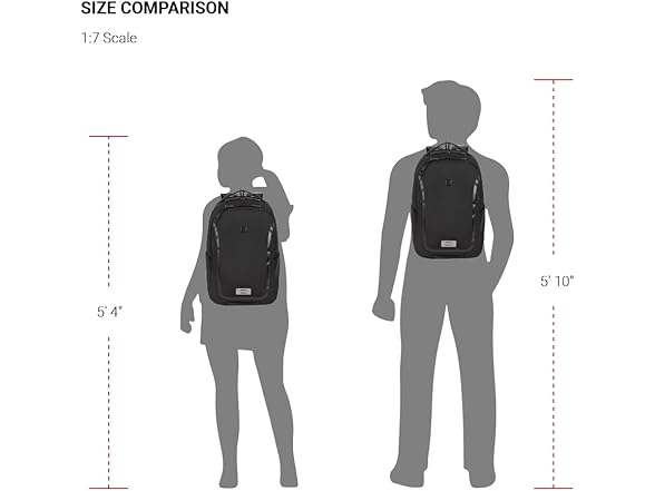 SwissGear Shield, 18.5 Inch