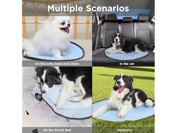 PEPPY BUDDIES  Donut Bed