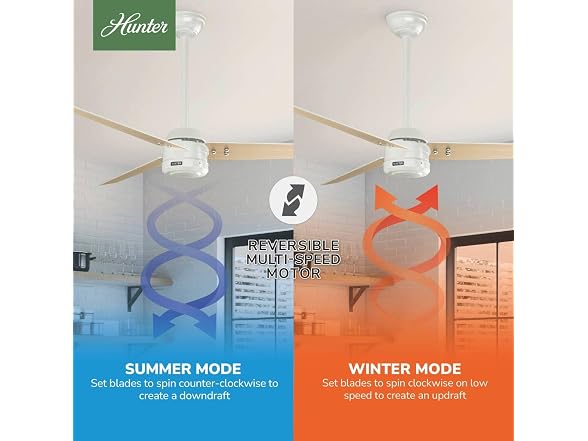 Hunter Fan 60 inch Ceiling Fan with No Light