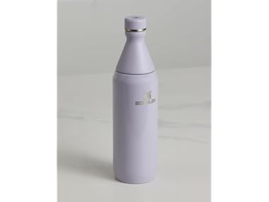 $17.99, Was $30, 40% Off! Stanley All Day Slim Bottle 20oz - Purple Dust Gloss dealfomo