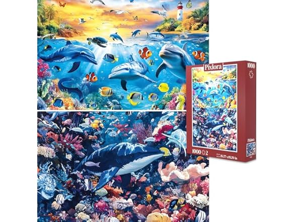 Dolphin Sunset & Deep Sea