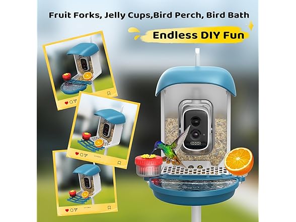 Loatos Bird Feeder with Camera