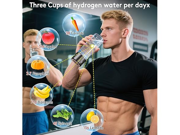 Seducte Hydrogen Water Bottle
