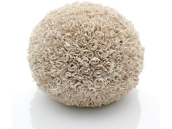 SIO-2 Aneto White High Fire Ceramic Clay, 11 lb (Cone 6-8)