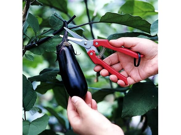 ARS Needle Nose Pruner HP-SE45 3Pk