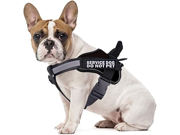 Damorr 2 PCS Service Dog Patch