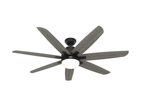 Hunter Fan 60" w/ Light Kit and 7-Blades