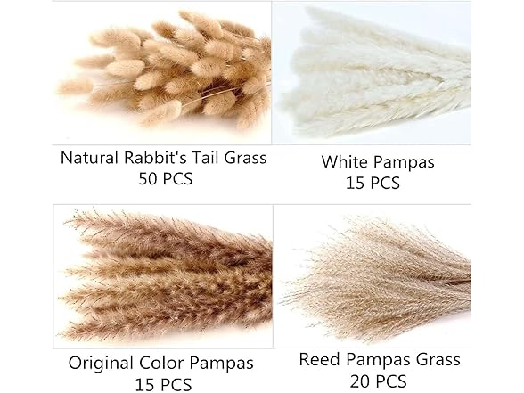 Dried Pampas Grass Decor 100 PCS