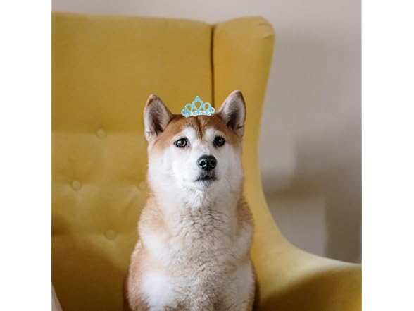 balacoo Pearl Crown Pet Hair Clip Soft Comfo