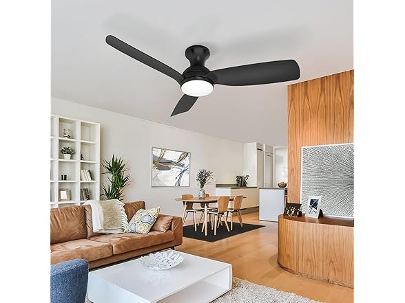 Consciot Ceiling Fan With Light, 44" with Remote, Black