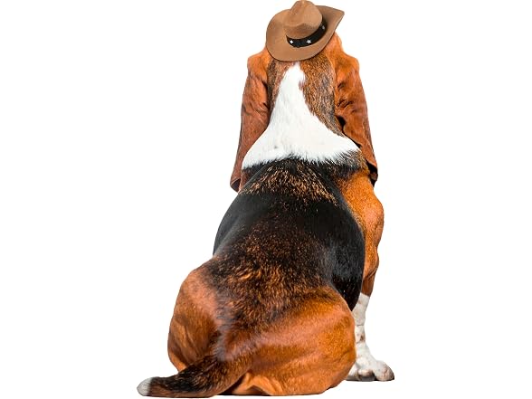 Rubies Cowboy Pet Hat for Dogs or Cats, M/L