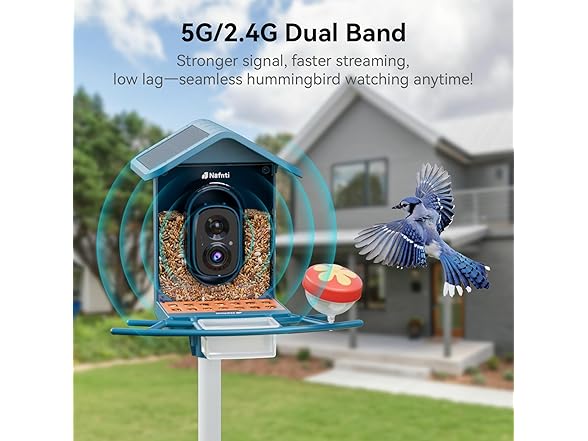 Bird Feeder with Camera