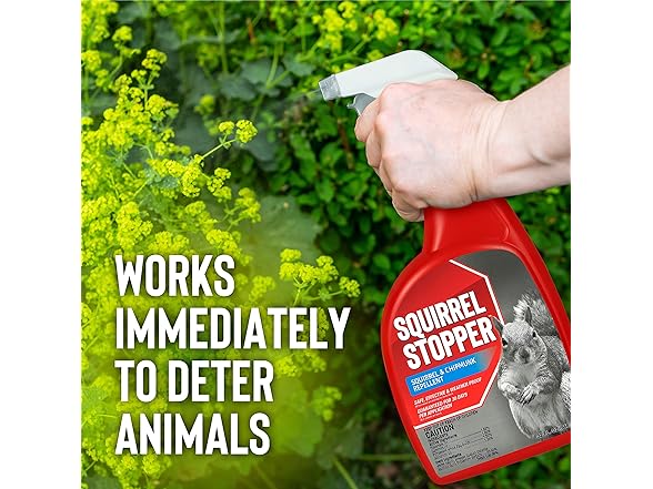 Messina Wildlife Squirrel Stopper, Liquid Animal Stopper