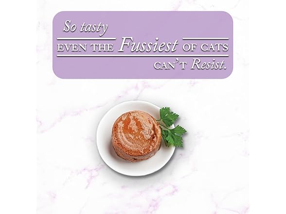 Fussie Cat Fine Dining Pate Mackerel with Beef