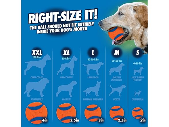 Chuckit! Pro 26XL Dog Ball Launcher, 26" Leng