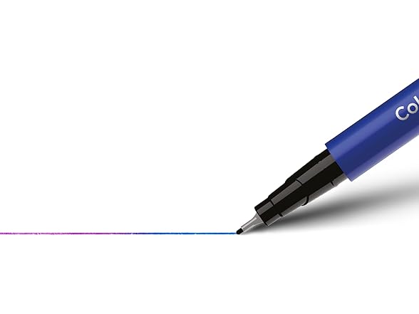 BIC Intensity 12-Pack Color Change 0.4mm Fine Tip Felt Pen