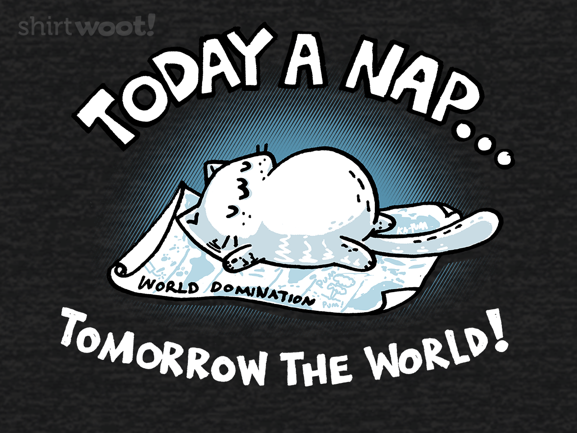 Today, a Nap! - Gallery 4