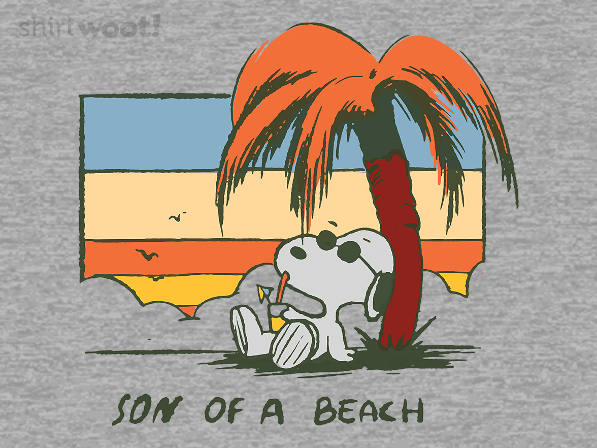 Son of a beach - Gallery 4