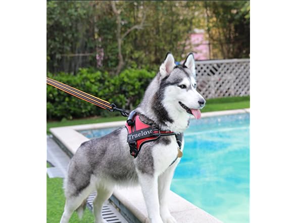 Truelove Dog Harness No-Pull Reflective Stit