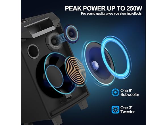 VeGue Karaoke Machine