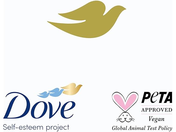 (2 Pack) Dove Dry Shampoo 2 Count