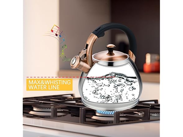Tea Kettle Stovetop