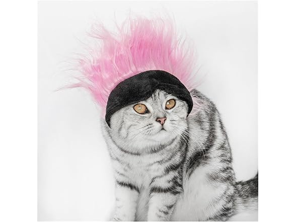 WALDOR Pet Wig Hat