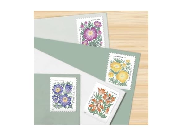 United States Postal Service Postage