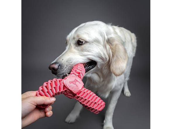 NOAH & PAW Luxury Dog Toy, Dog Rope Toy- Y Flyer, Pink
