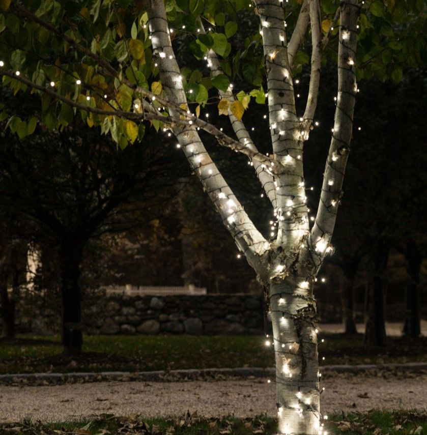 Solar LITEUP125 String Lights Warm White - Gallery 11