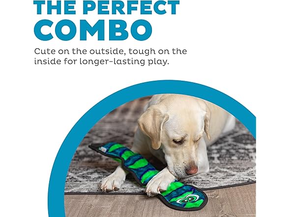 Outward Hound Durablez Large Snake Toy