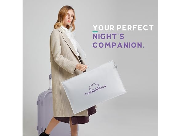 PlushHavenCloud White Goose Down Pillow