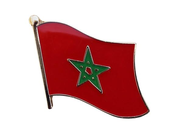 Flagline Morocco Flag Metal Single Lapel Pin