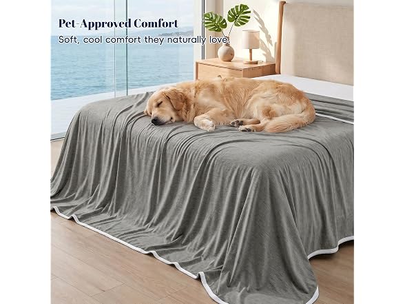 PHF Charcoal Grey Cooling Blanket King 108"x90"