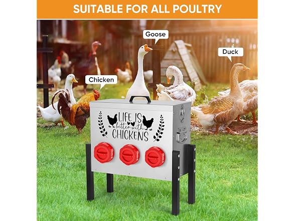 Tgeyd 30lb Chicken Feeder Heavy-Duty