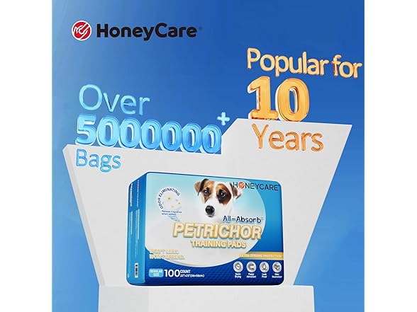 HONEY CARE All-Absorb, Large 22" x 23" 100Ct
