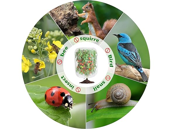 afzdby BC520325050004 Fruit tree netting