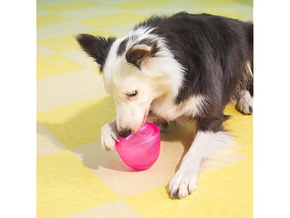BarkBox Treats N' Sweets Gumdrop Rubber Dog Toy