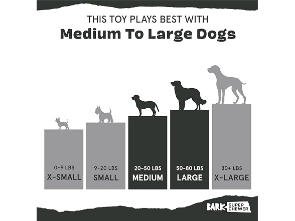Barkbox Treat Yourself Party Hat Dog Toy | Rip & Reveal