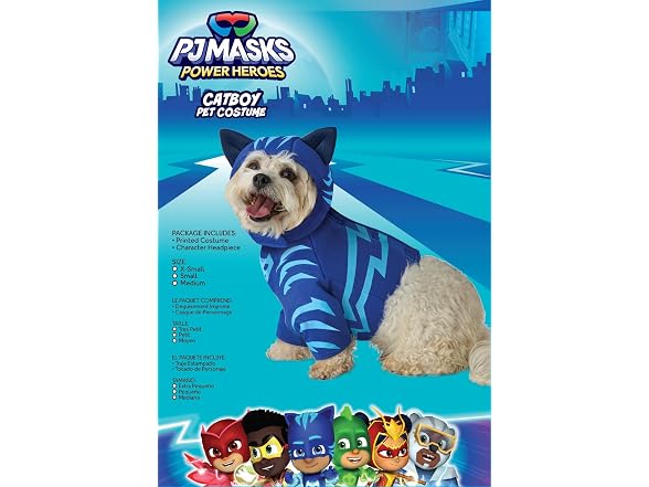 California Costumes PJ Masks Catboy Costume