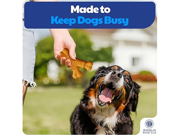 AKC Training Dog Chew Toy, Nylon Y-Shaped Bone