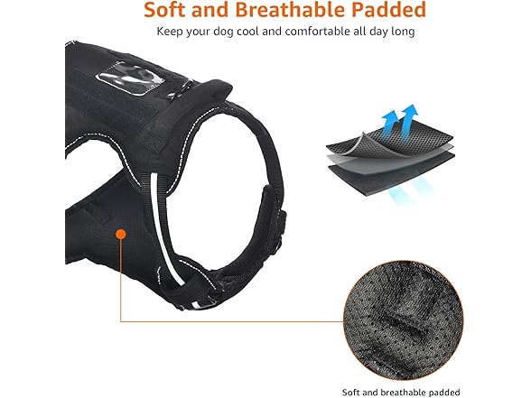 Amazon Basics No Pull Dog Harness