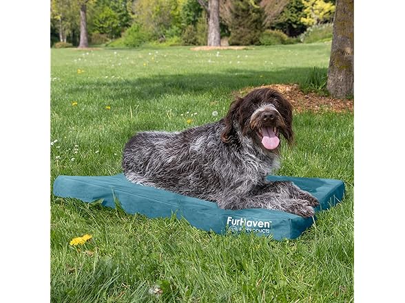 Furhaven Water-Resistant Orthopedic Dog