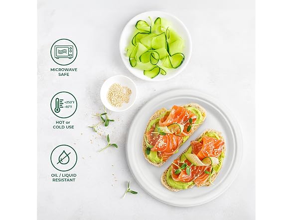 Freshware Paper Plates - Disposable 10" Plate