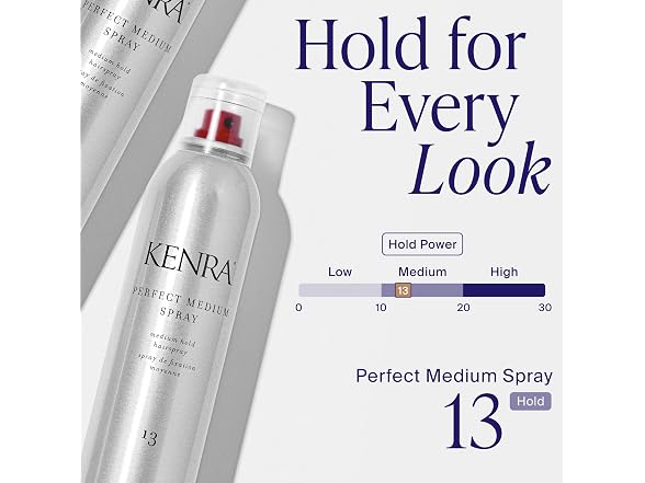 Kenra Professional Perfect Medium Spray 13 80