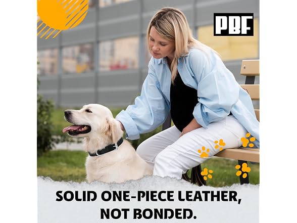 PBF Leather Dog Collar - Genuine Top