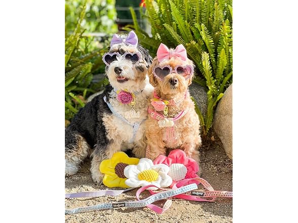 Blueberry Pet Polka Dots Femal Dog Leash for