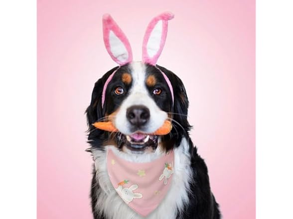 Pawskido 2 Pack Easter Dog Bandana