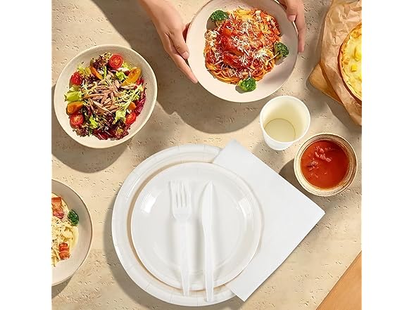NASUN Paper Disposable Dinnerware Set