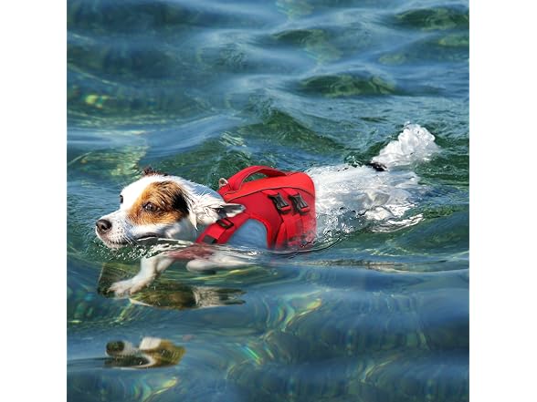Queenmore XS Dog Life Jacket,Reflective Smal